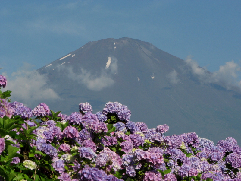 富士山画像記録