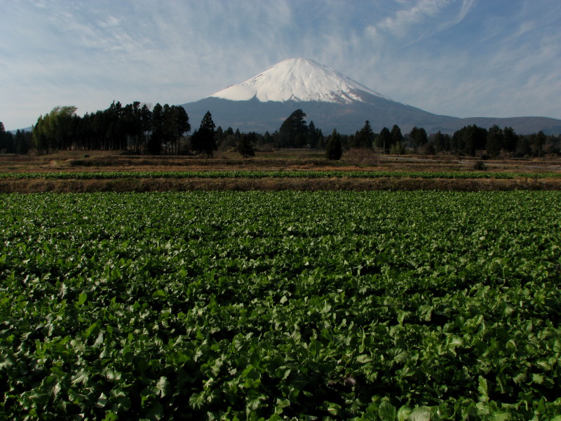 富士山画像記録