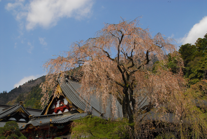 富士山周辺文化