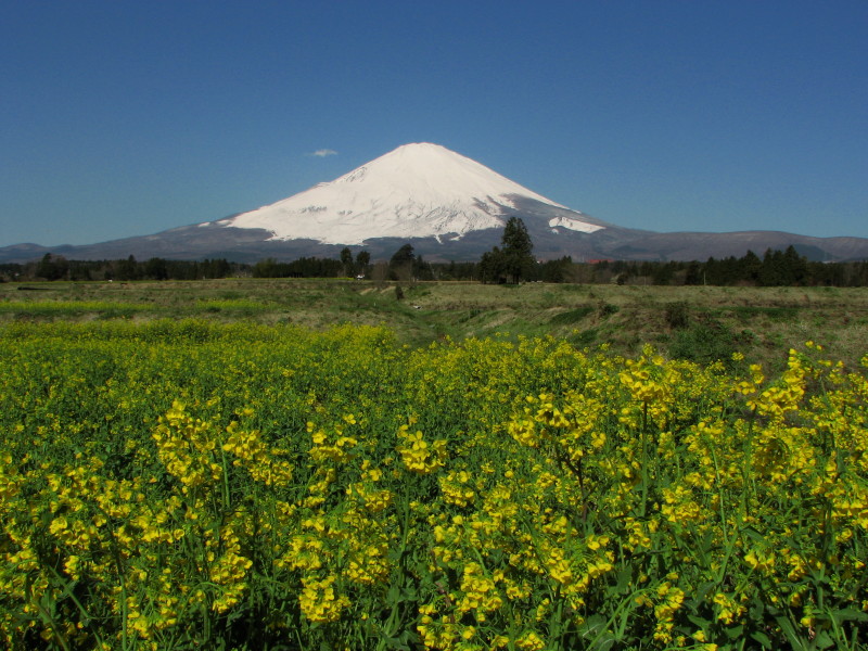富士山画像記録