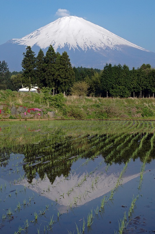 富士山画像記録