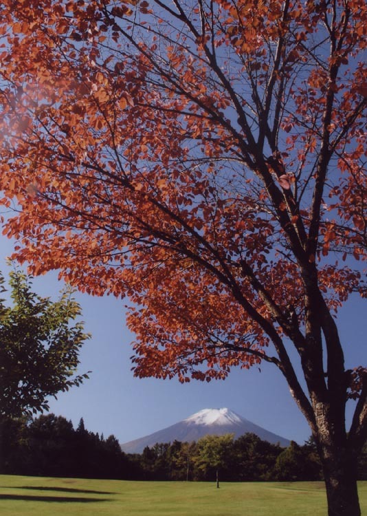 富士山画像記録