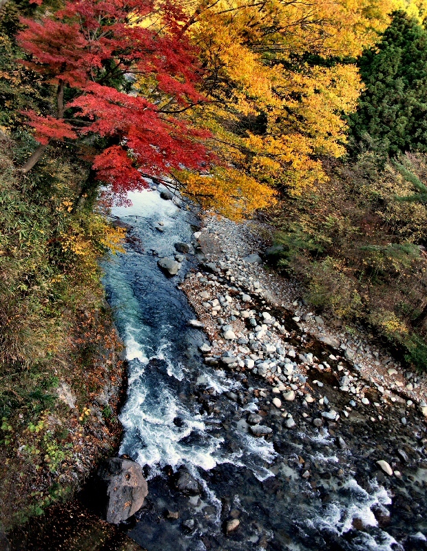 富士山周辺風景