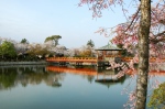 風景一般