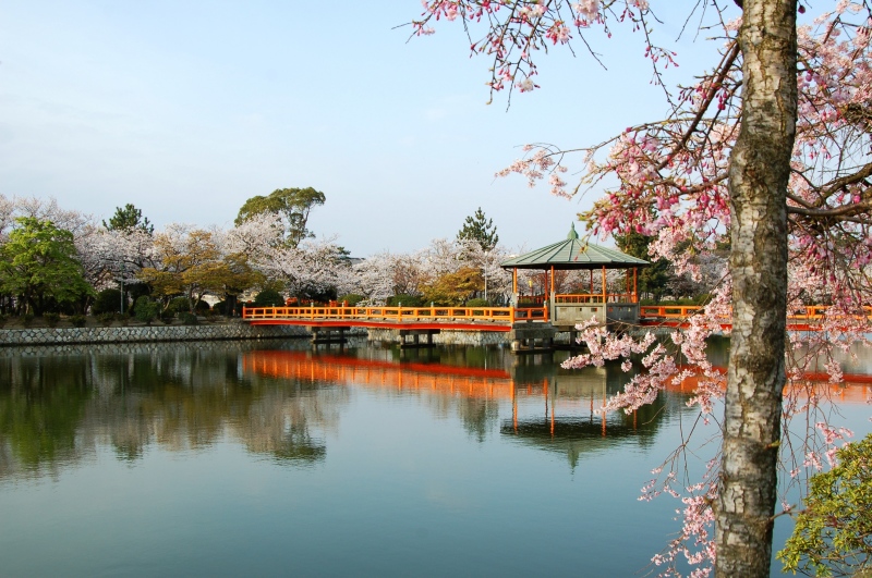 風景一般