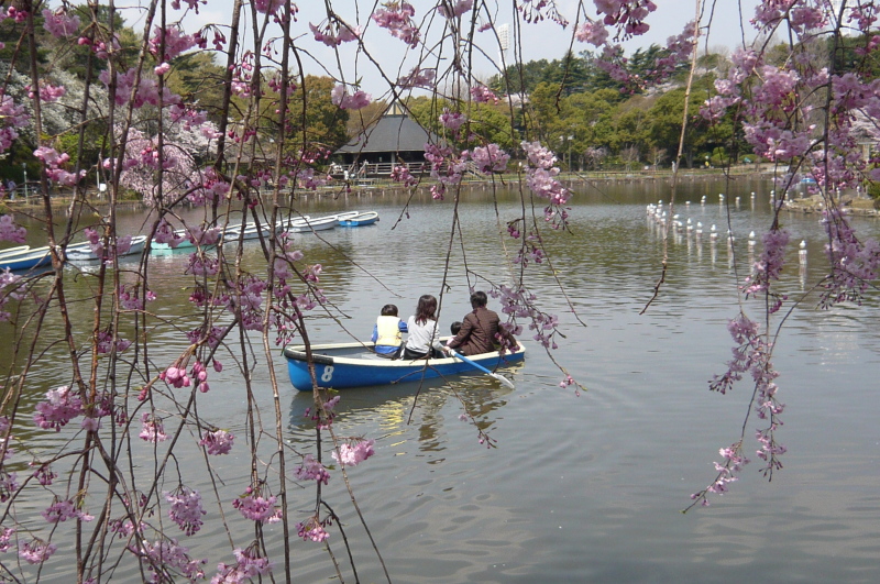 風景一般