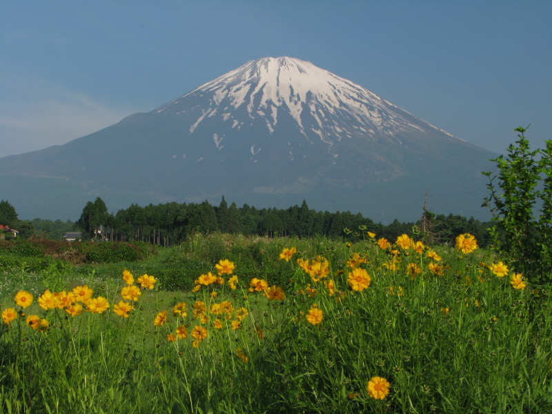 富士山画像記録