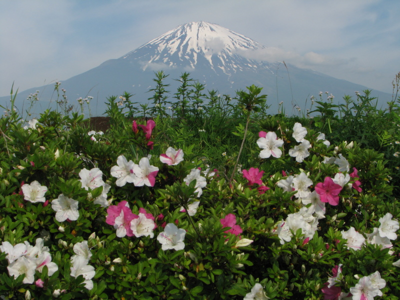 富士山画像記録