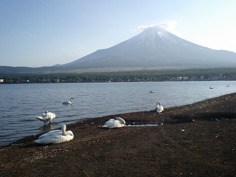 富士山画像記録