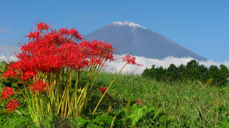 富士山画像記録