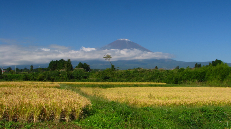 富士山画像記録