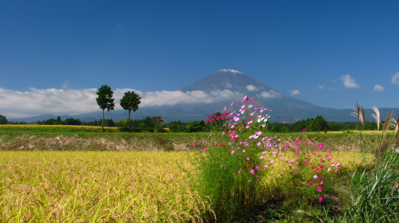 富士山画像記録