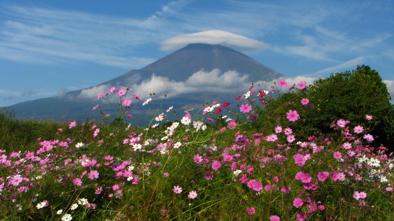 富士山画像記録