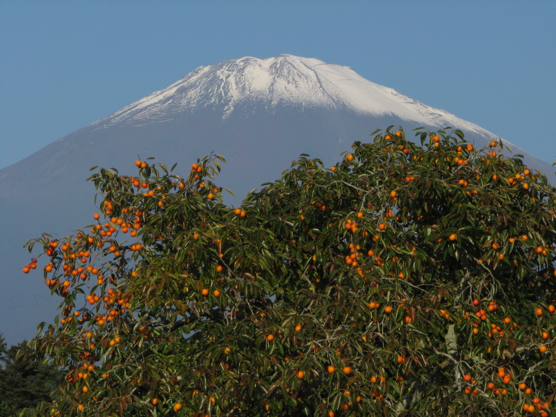 富士山画像記録