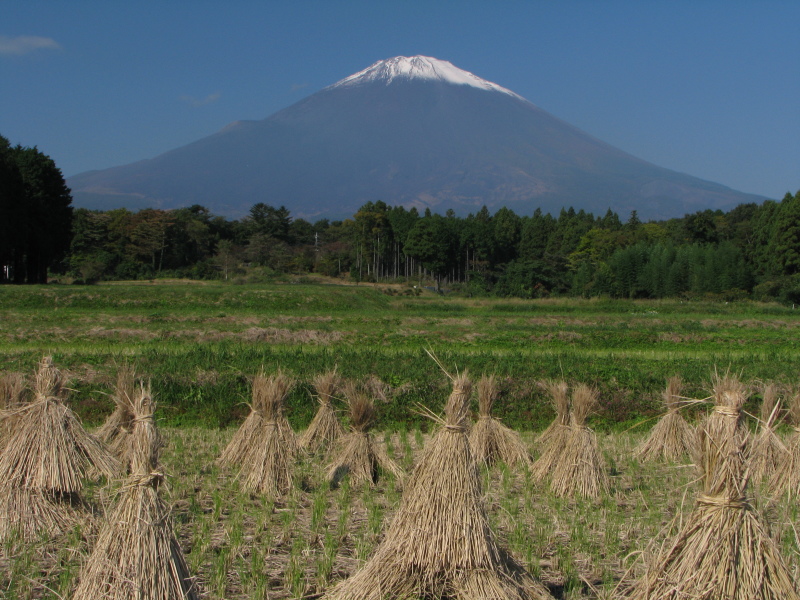 富士山画像記録