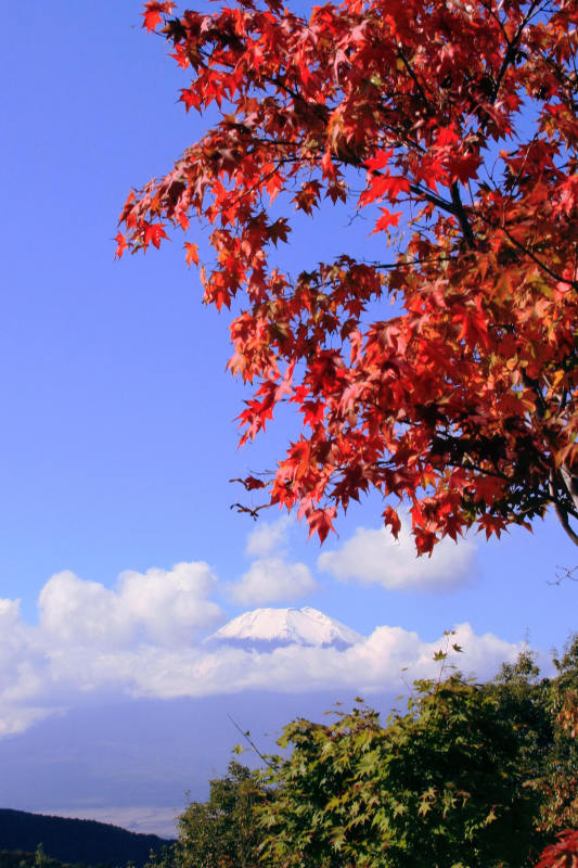 富士山画像記録