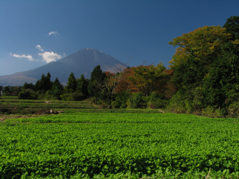 富士山画像記録