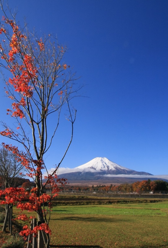 富士山画像作品