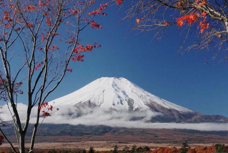 富士山画像作品