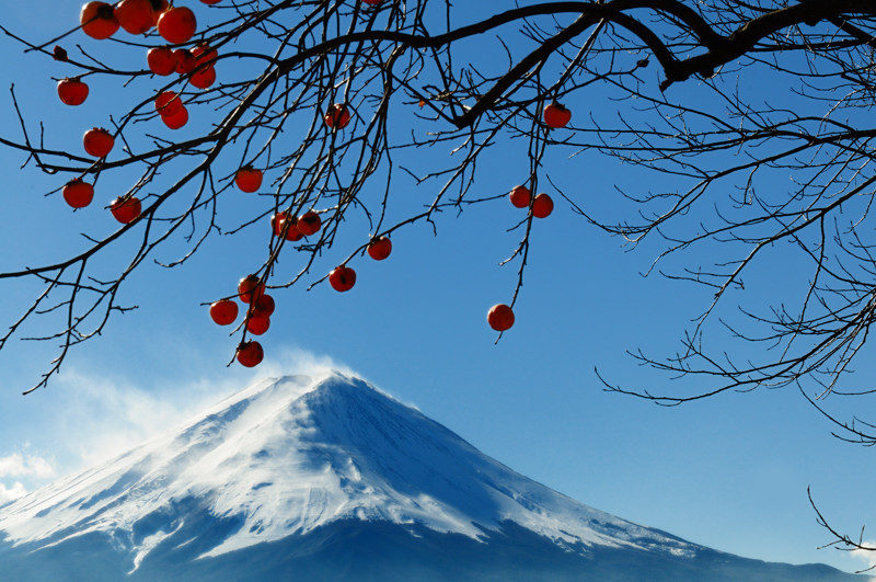 富士山画像作品