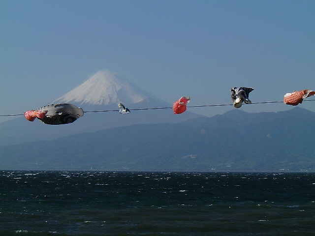 富士山周辺文化