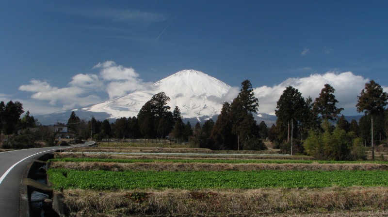 富士山画像記録