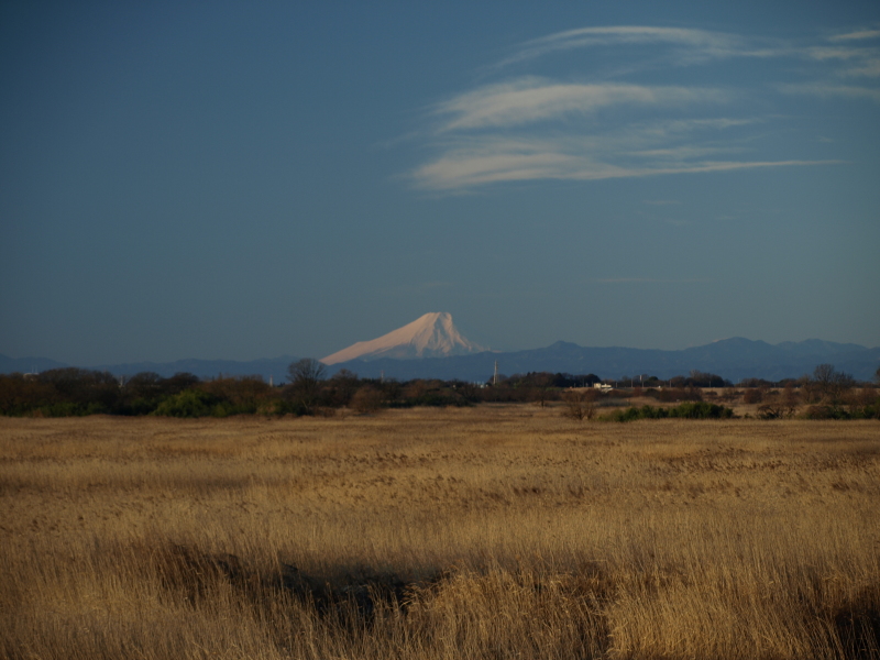 富士山画像記録