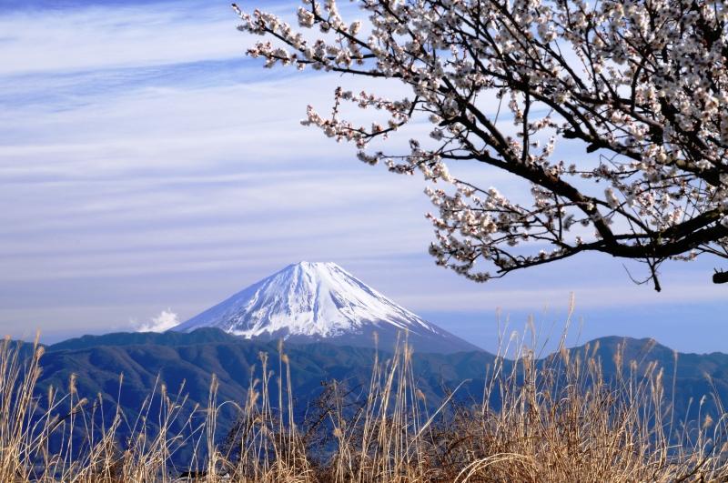 富士山画像記録