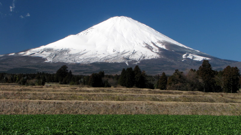 富士山画像記録