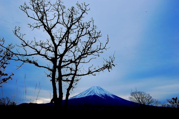 富士山画像記録
