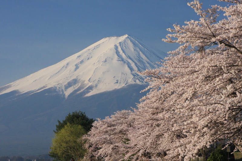 富士山画像作品