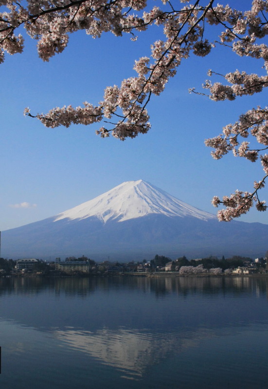 富士山画像記録