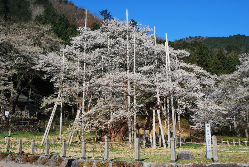風景一般