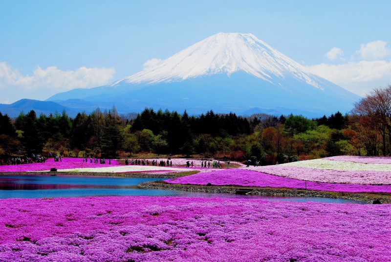 富士山画像記録