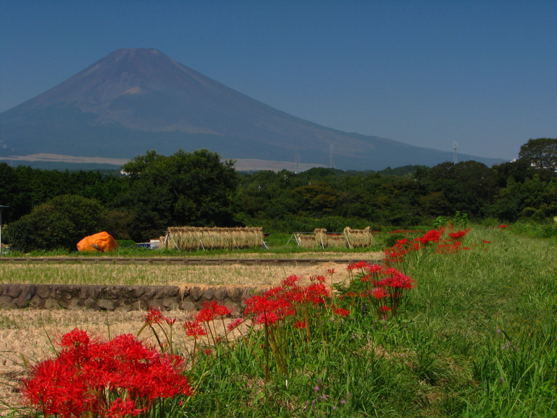 富士山画像記録