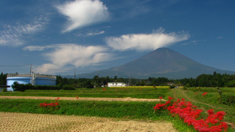 富士山画像記録