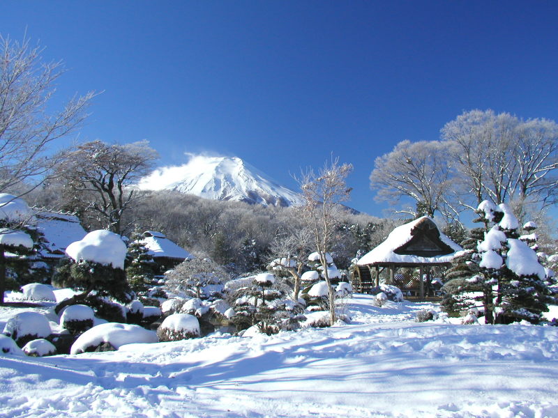 富士山画像記録