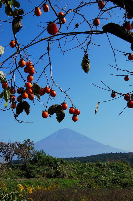 富士山画像記録