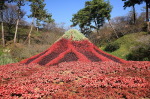 富士山関連作品