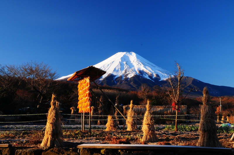 富士山画像記録