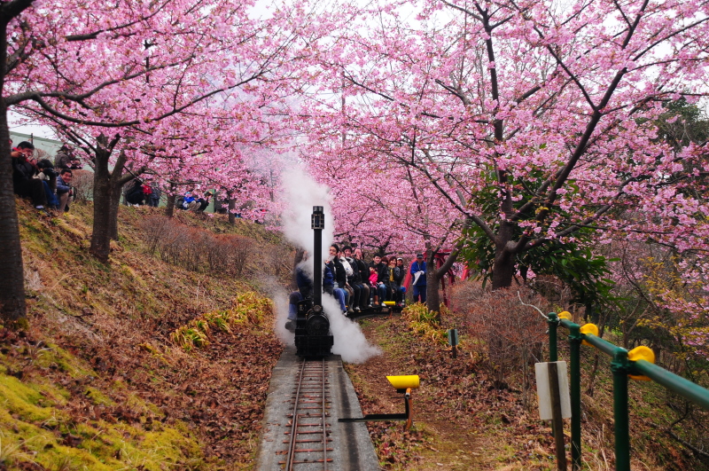 風景一般