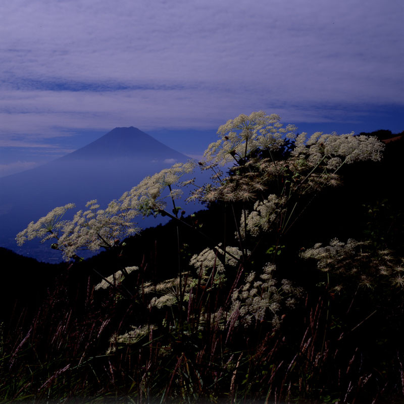 富士山画像作品