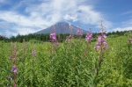 富士山周辺文化