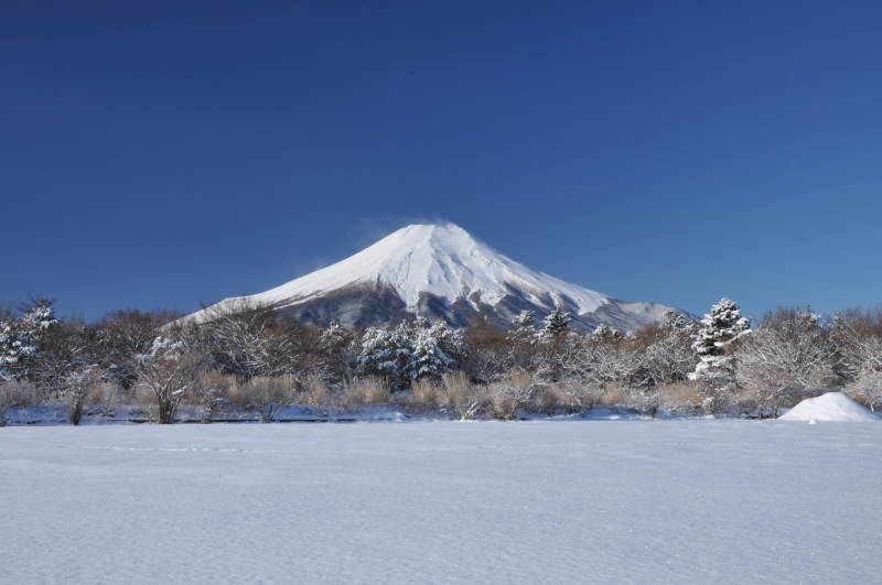 富士山画像記録
