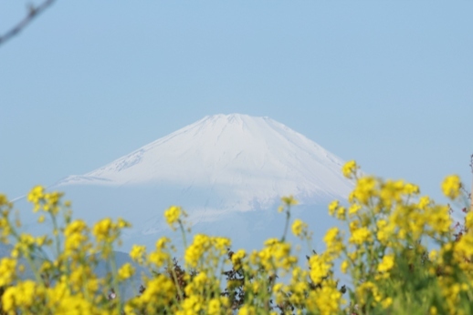 風景一般