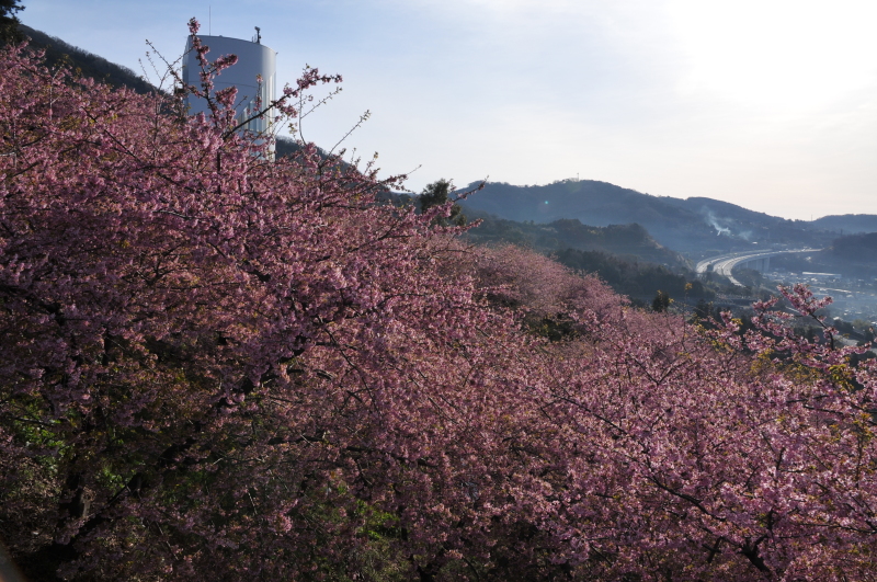 風景一般