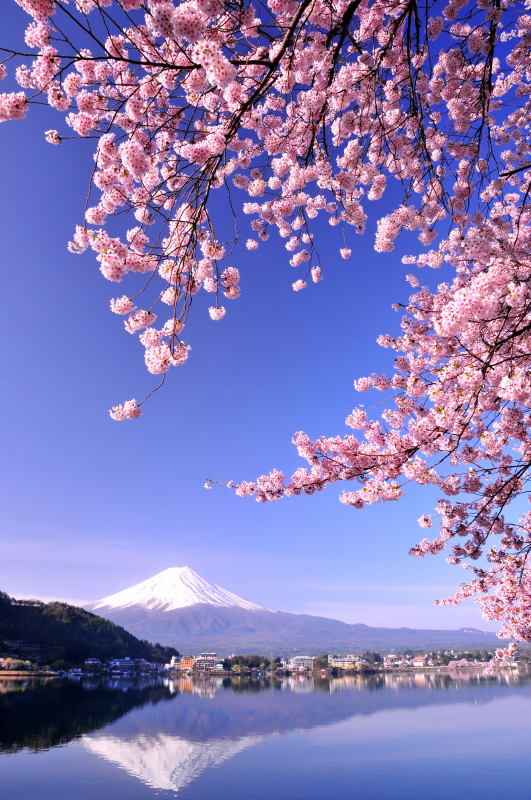 富士山画像作品