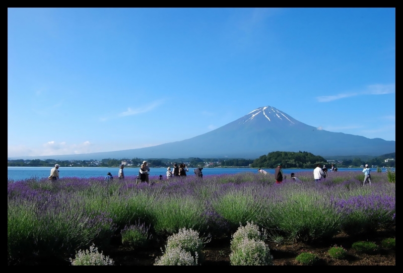 富士山画像記録