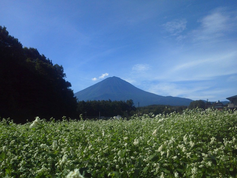 富士山周辺風景