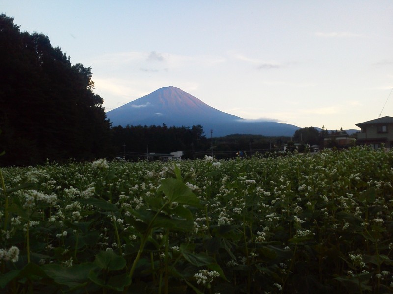 富士山周辺風景